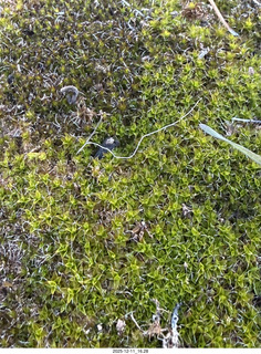 462 a2q. Utah - Canyonlands National Park