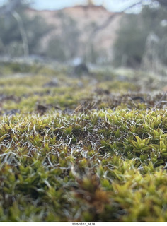 466 a2q. Utah - Canyonlands National Park