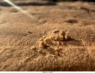 475 a2q. Utah - Canyonlands National Park