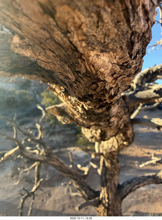 478 a2q. Utah - Canyonlands National Park