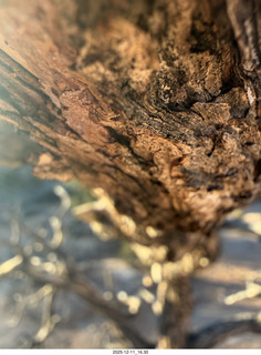 479 a2q. Utah - Canyonlands National Park