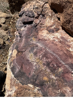 227 a2q. Utah -  Mineral Canyon hike - purple rock