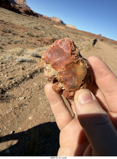 351 a2q. Utah - Hidden Splendor hike - rock