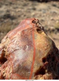 354 a2q. Utah - Hidden Splendor hike - rock close-up
