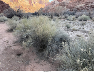 413 a2q. Utah - Hidden Splendor hike