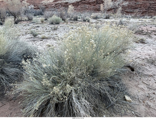 414 a2q. Utah - Hidden Splendor hike