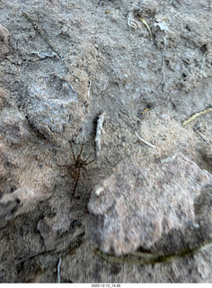 440 a2q. Utah - Hidden Splendor hike