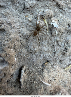 441 a2q. Utah - Hidden Splendor hike