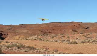 462 a2q. Utah - Hidden Splendor hike - yellow Husky
