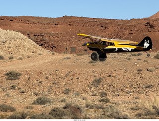 463 a2q. Utah - Hidden Splendor hike - yellow Husky