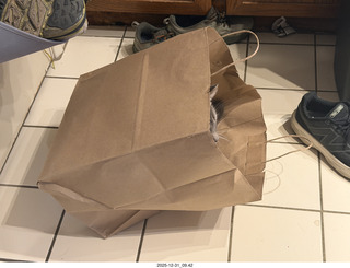 cat Potato in a bag