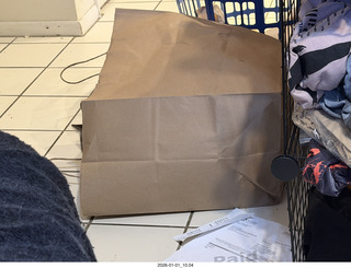 cat Potato in a bag