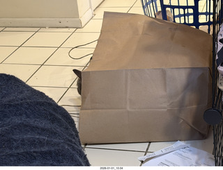 cat Potato in a bag