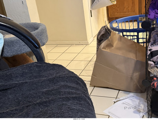 cat Potato in a bag