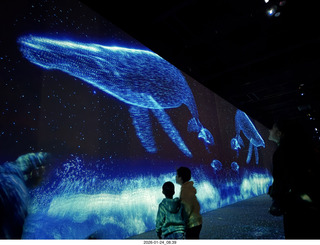 New York City - Arte Museum