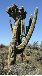Scottsdale - Granite Mountain Hike