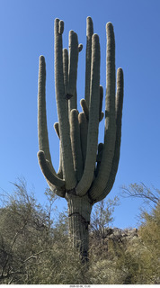 Scottsdale - Granite Mountain Hike - Adam