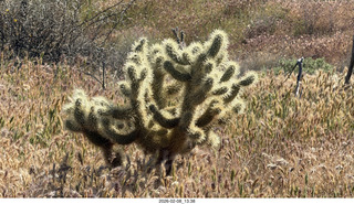 Scottsdale - Granite Mountain Hike