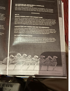 Ballet Arizona - Alice in Wonderland program