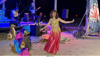 Arizona Flying Circus - night - Traveler band