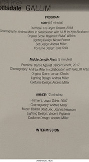 Scottsdale Arts - Gallim Dance program