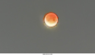 total solar eclipse picture (not mine)