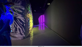 Northeast Philadelphia - OtherWorld museum event