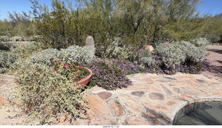 Taleisin West (Frank Lloyd Wright) - David Dodge House - McDowell Sonoran Conservancy breakfast