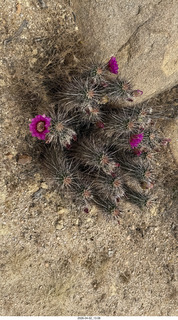 Scottsdale - Granite Mountain hike