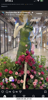 NovaPetal flower-man
