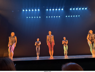 New York City - Joyce Theater - Dave Parsons dance